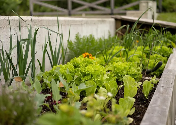 Apartment Maison Du Soleil Kranjska Gora